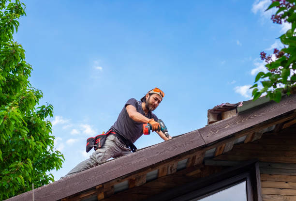 Best Steel Roofing  in Brunswick, NC
